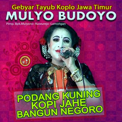 TAYUB MULYO BUDOYO VOL.5's cover
