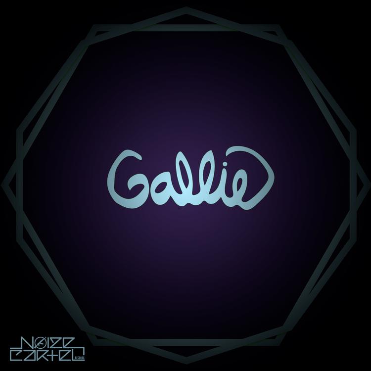 Gallie Fisher's avatar image