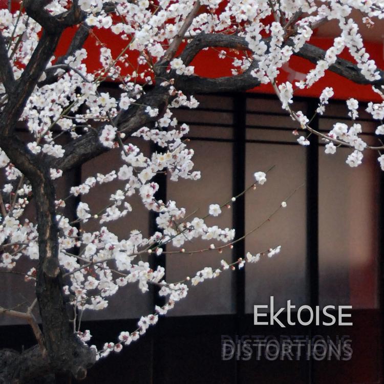 Ektoise's avatar image