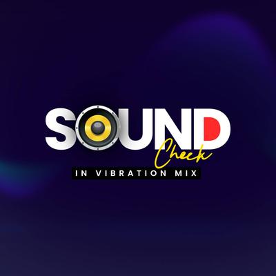 Soundcheck 2022 In Vibration Mix By SG Production's cover