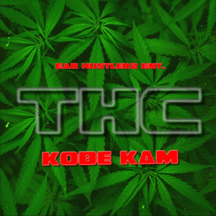 Kobe Kam's avatar image