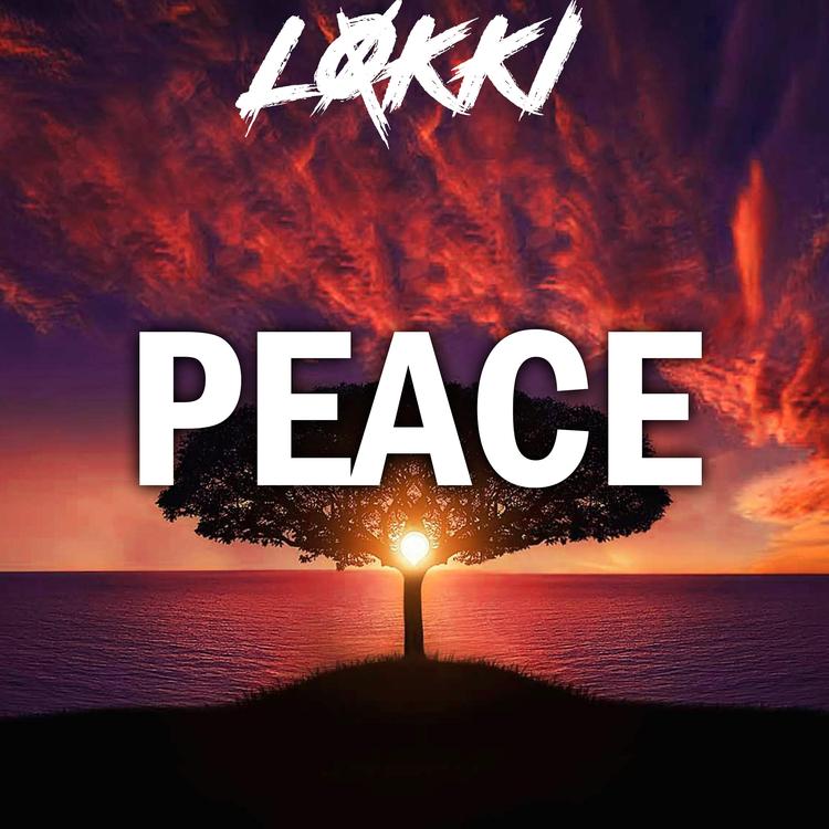 Real Lokki's avatar image
