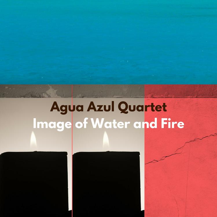 Agua Azul Quartet's avatar image