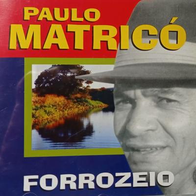 Forrozeio By Paulo Matrico's cover