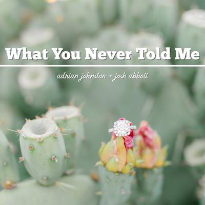What You Never Told Me's cover