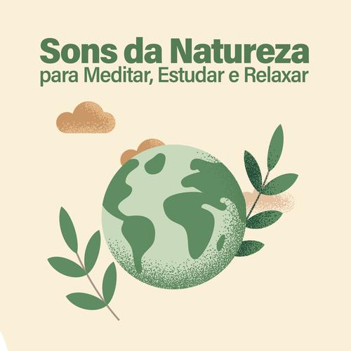 Sons da Natureza para Meditar, Estudar e Relaxar | Som de Chuva no Telhado | ASMR para Dormir's cover