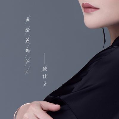 说给爸妈的话（DJ舞动版） (伴奏)'s cover