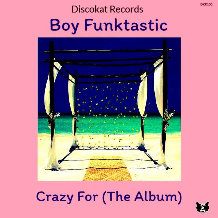 Boy Funktastic's avatar image