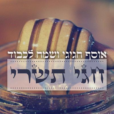 Hashem Echad By Itzik Orlev's cover