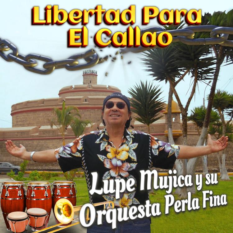 Lupe Mujica y su Orquesta Perla Fina's avatar image