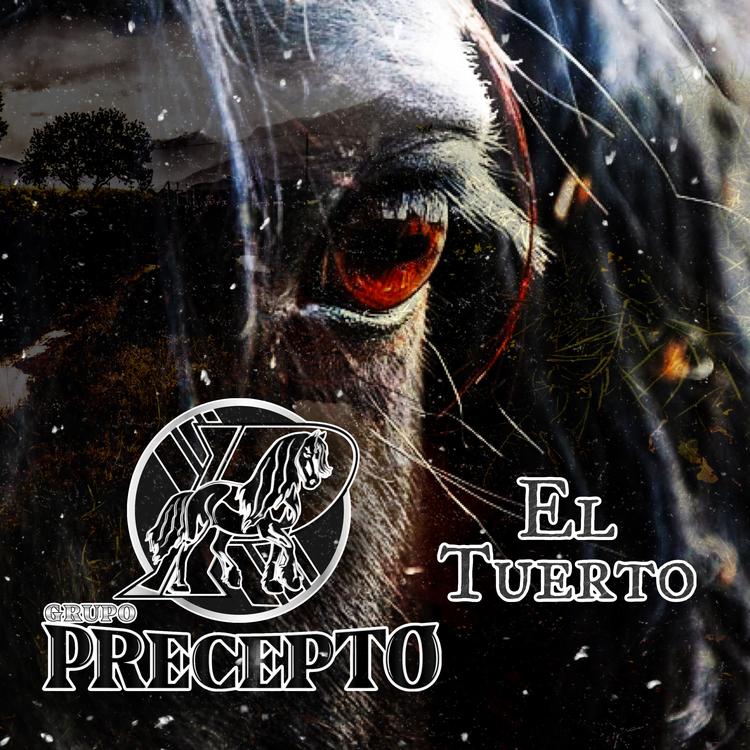 Grupo Precepto's avatar image