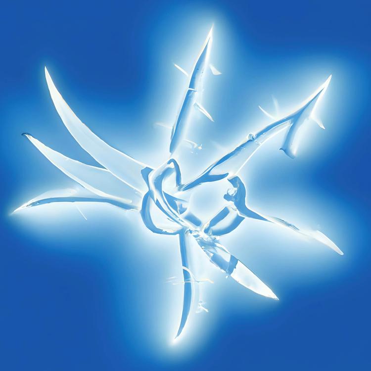 Salisi's avatar image