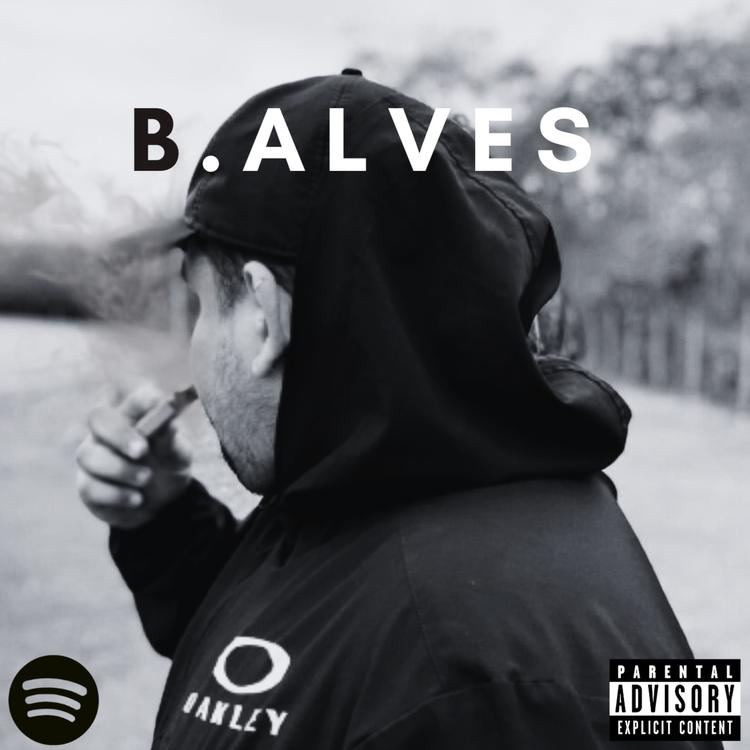 B Alves's avatar image