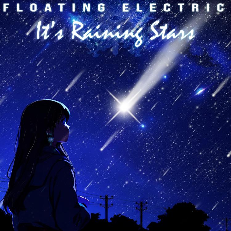 Floating Electric's avatar image