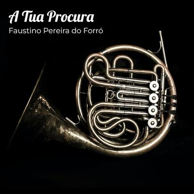 Faustino Pereira do Forró's cover