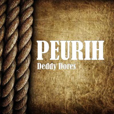 ARDILA (Peurih)'s cover