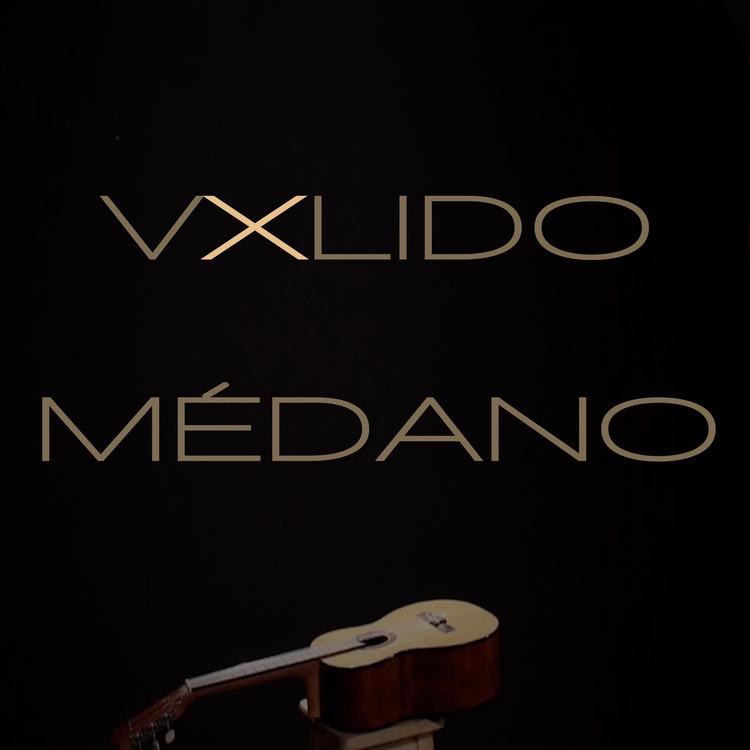 Vxlido's avatar image