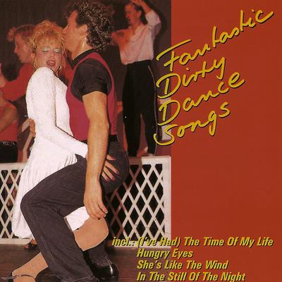 Dirty Dance Songs (Hits From Dirty Dancing)'s cover