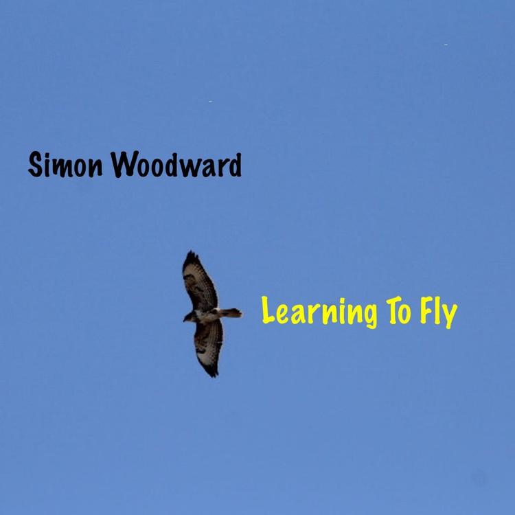 Simon Woodward's avatar image