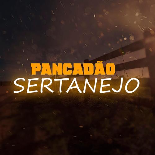 pancadao sertanejo's cover