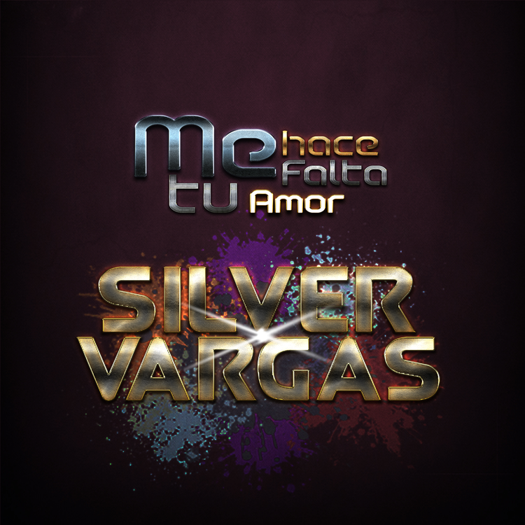 SILVER VARGAS's avatar image