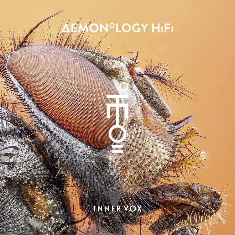 Demonology HiFi's avatar image