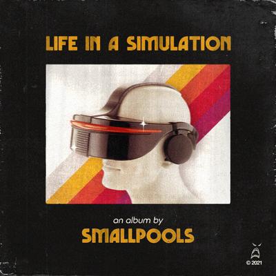 LIFE IN A SIMULATION's cover