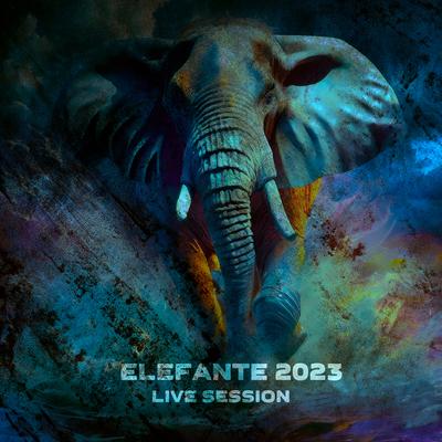 Elefante 2023 (Live Session)'s cover