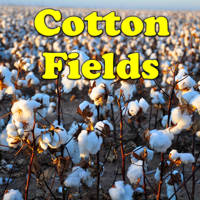 Cotton Fields's cover