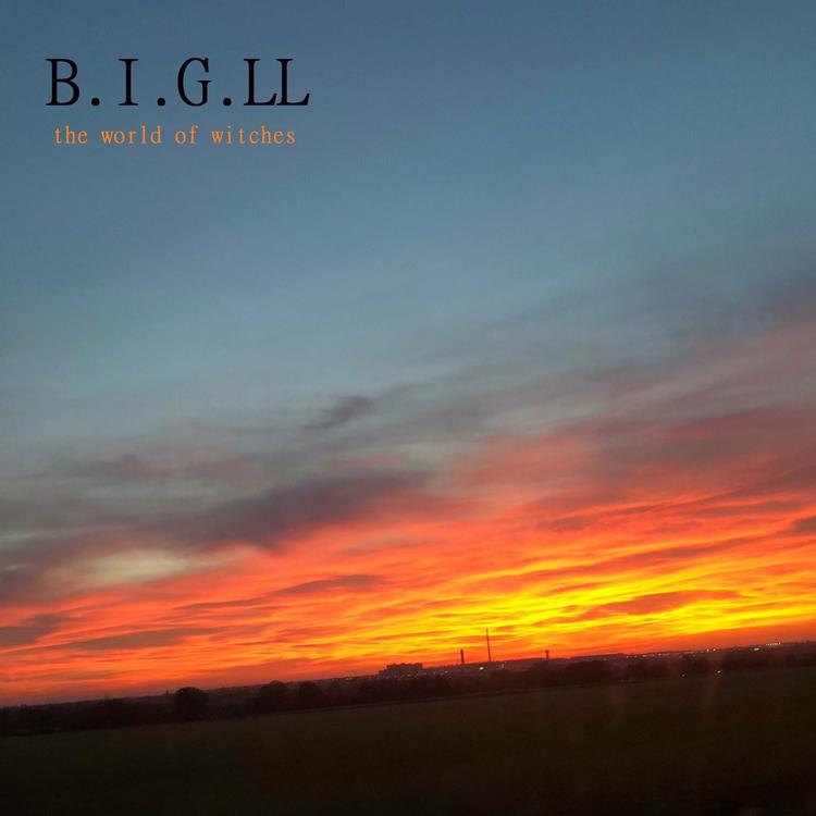 B.I.G.LL's avatar image