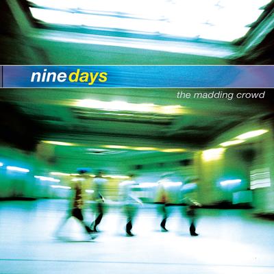 Absolutely (Story of a Girl) (Radio Mix) By Nine Days's cover