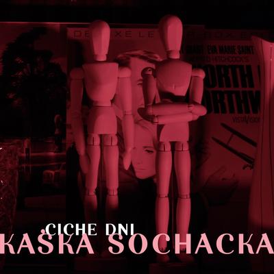 Ciche dni By Kaśka Sochacka's cover