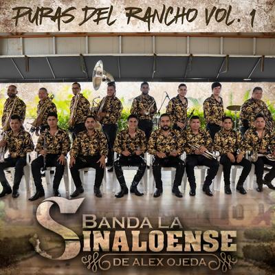 Puras del Rancho Vol. 1 (En Vivo)'s cover