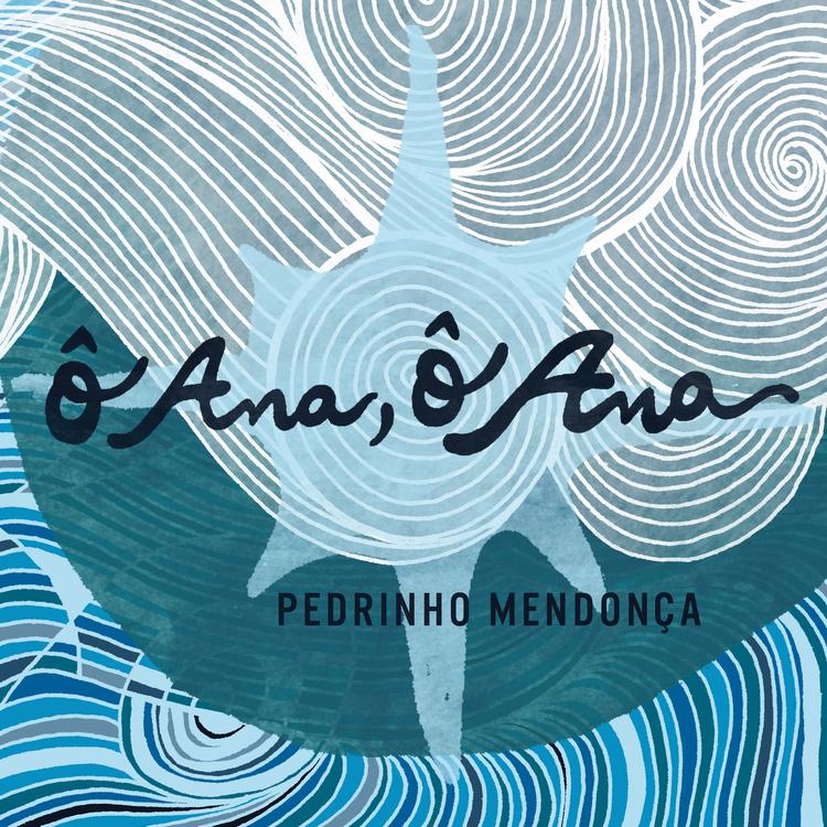 Pedrinho Mendonça's avatar image