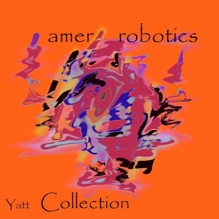 amer robotics's avatar image