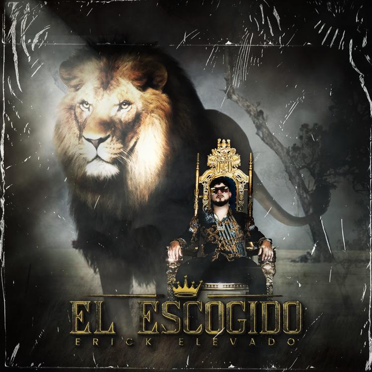 Erick Elevado's avatar image