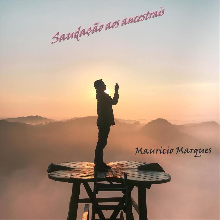 Maurício Marques's avatar image