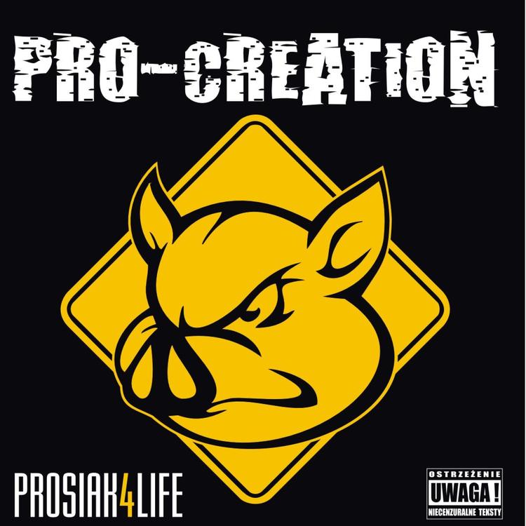 Pro-Creation's avatar image