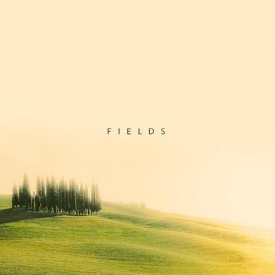 Fields By Simon Wester's cover