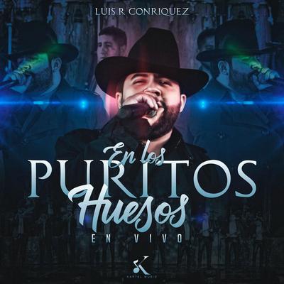 En los Puritos Huesos (En Vivo)'s cover