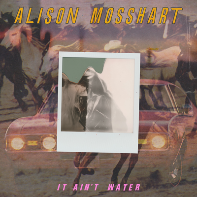 It Ain't Water By Alison Mosshart's cover