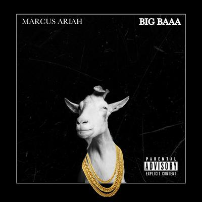 Big Baaa's cover