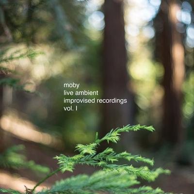 Live Ambient 8 By Moby's cover