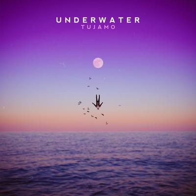 Underwater By Tujamo's cover