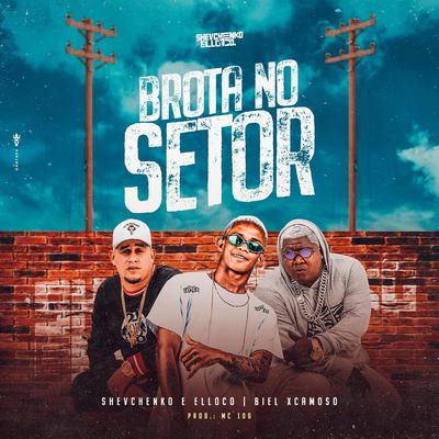 Brota no Setor  By Shevchenko e Elloco, Biel XCamoso, MC 10G's cover