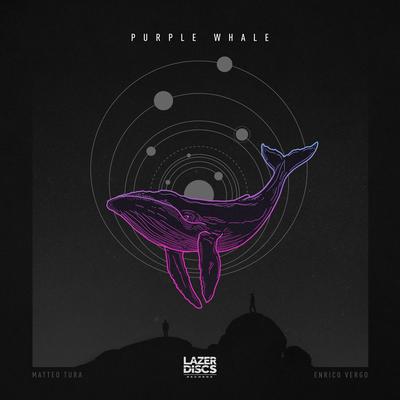 Purple Whale By Matteo Tura, Vergo's cover