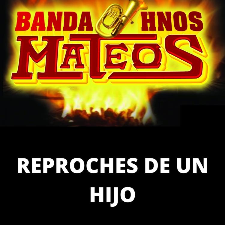 Banda Hermanos Mateos's avatar image