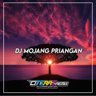 DJ MOJANG PRIANGAN's cover