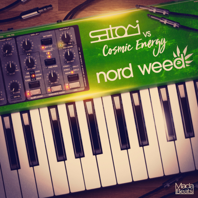 N0rd Weed By Cosmic Energy, Satori's cover