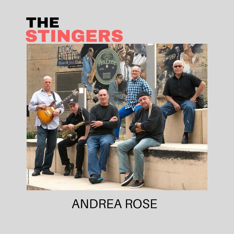 The Stingers's avatar image